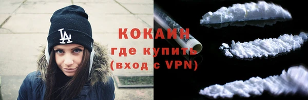 ПСИЛОЦИБИНОВЫЕ ГРИБЫ Абаза