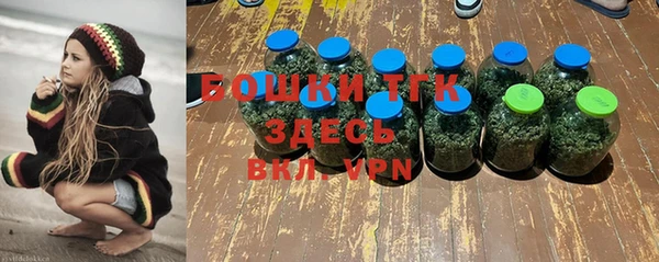 ПСИЛОЦИБИНОВЫЕ ГРИБЫ Абаза