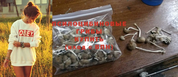 ГАЛЛЮЦИНОГЕННЫЕ ГРИБЫ Абинск