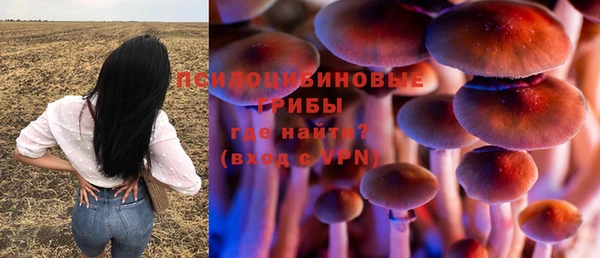 а пвп мука Болхов