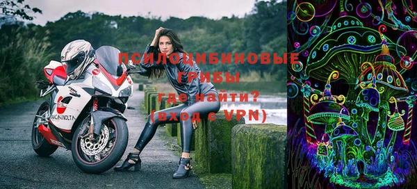 ПСИЛОЦИБИНОВЫЕ ГРИБЫ Абаза