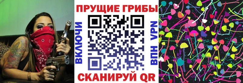 Псилоцибиновые грибы Magic Shrooms  Камышлов 
