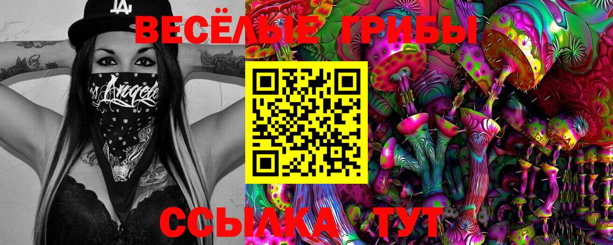 Камышлов  Псилоцибиновые грибы прущие грибы  Псилоцибиновые грибы MAGIC MUSHROOMS  продажа наркотиков  Вход с VPN 