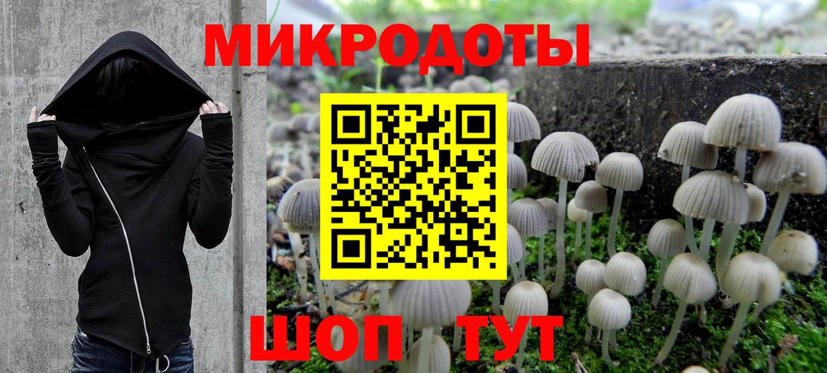 Псилоцибиновые грибы Psilocybine cubensis Камышлов